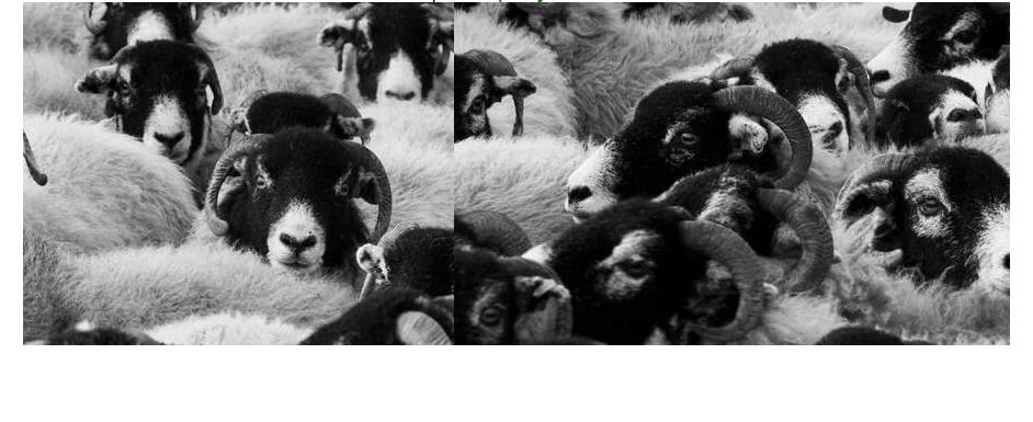 jquery.nicescroll滚动条应用–无滚动条左右拖拽滚动-A8源码网