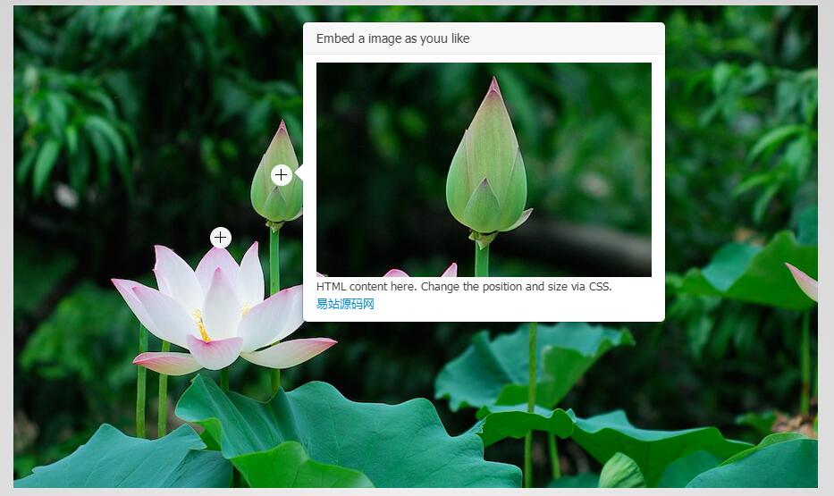 jquery热点提示工具插件-A8源码网