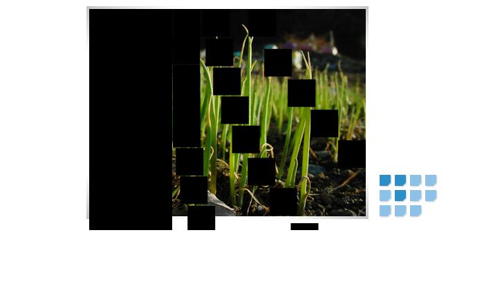 图片相册可切换不同样式层出效果源码-A8源码网