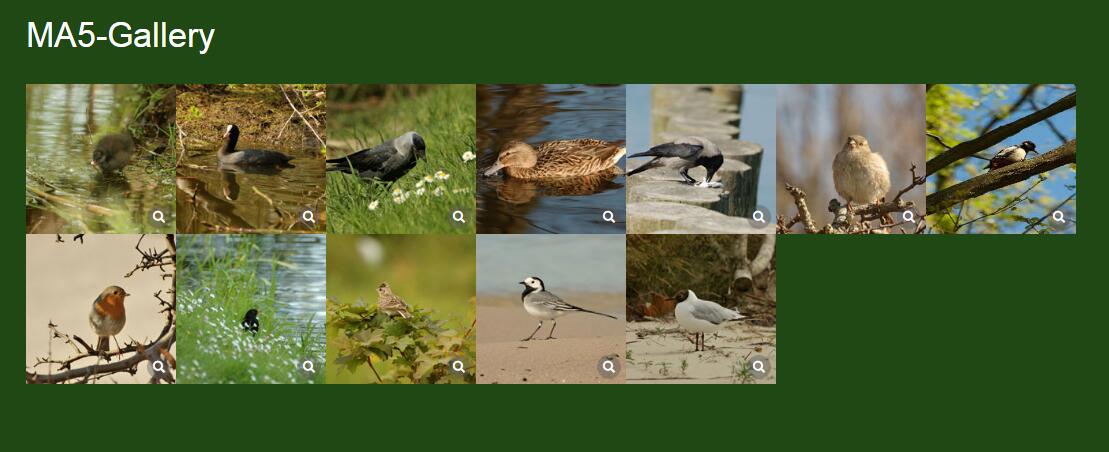 正常排列点击可放大观看效果源码相册源码-A8源码网