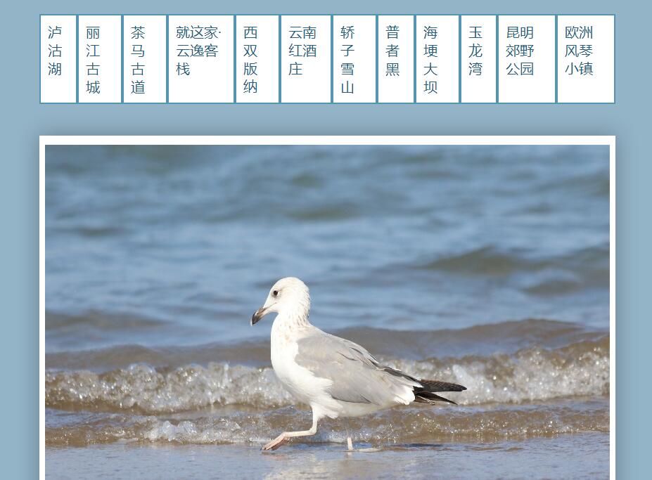 旅游相册图片tab标签切换展示特效源码-A8源码网