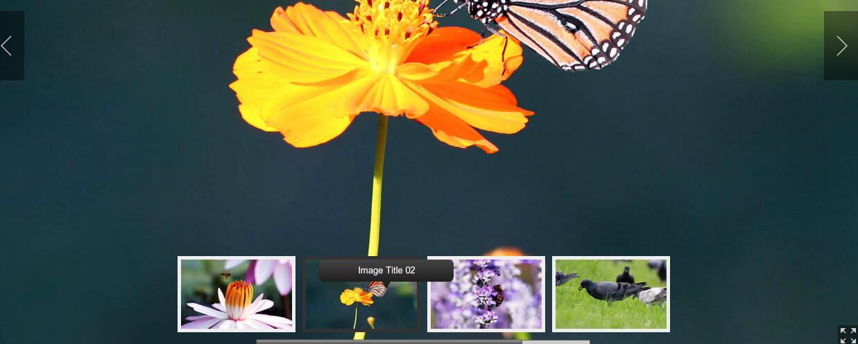 全屏显示的flash+xml相册画廊代码-A8源码网