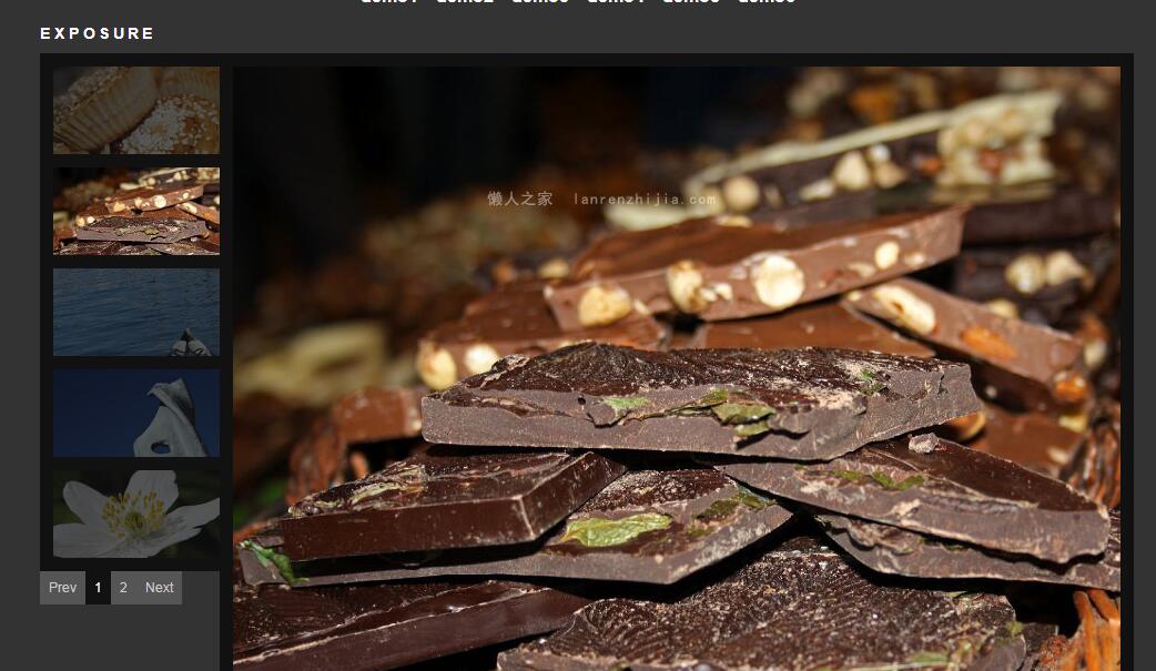 缩略图在左侧的支持上下翻页的相册效果源码-A8源码网