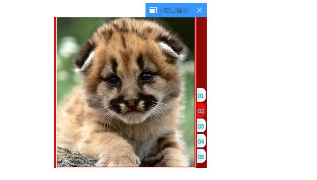 5个图骗切换flash广告代码-A8源码网