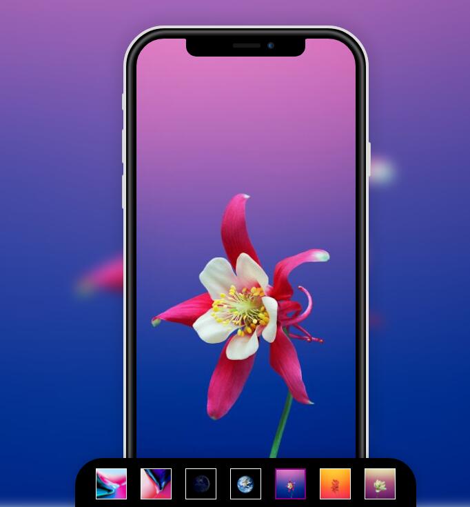 iPhoneX手机屏幕背景和页面背景图片同时切换特效源码-A8源码网