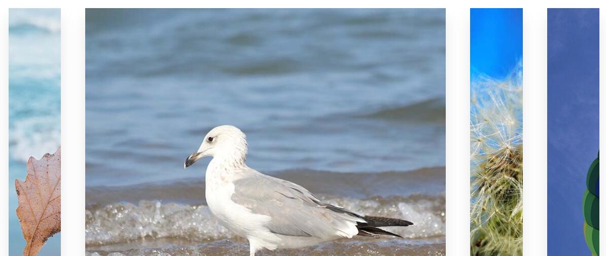 CSS3宽屏图片手风琴切换特效源码-A8源码网