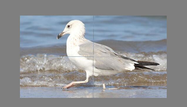 CSS3鼠标悬停图片网格切片动画特效源码-A8源码网