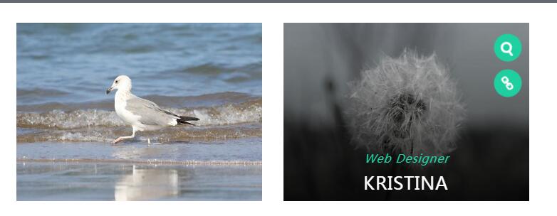 CSS3鼠标悬停图片遮罩显示图标和文字动画特效源码-A8源码网