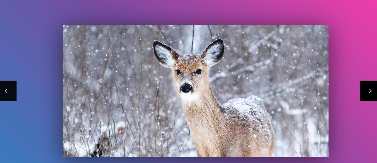 HTML5全屏图片动态模糊切换代码-A8源码网