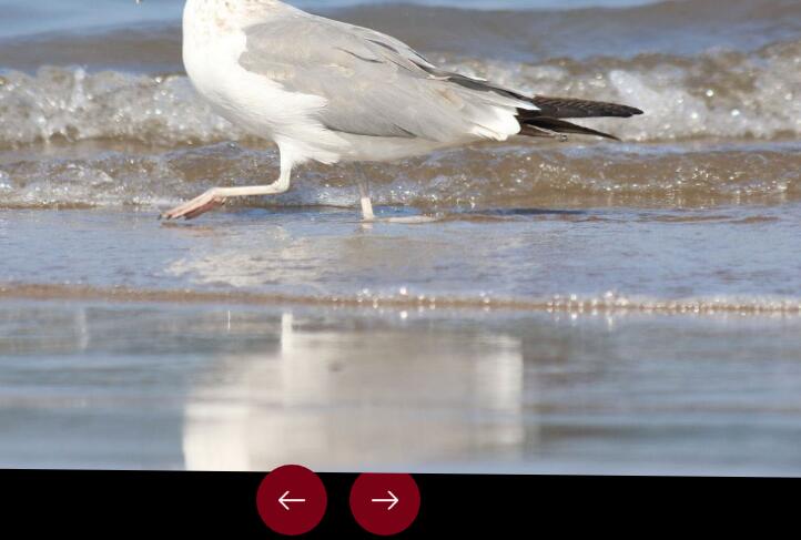 jQuery全屏响应式3D旋转幻灯片图片切换特效源码-A8源码网