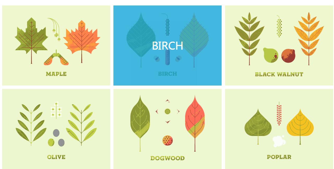 jQuery列表图片鼠标悬停感知方向遮罩层移动特效源码-A8源码网