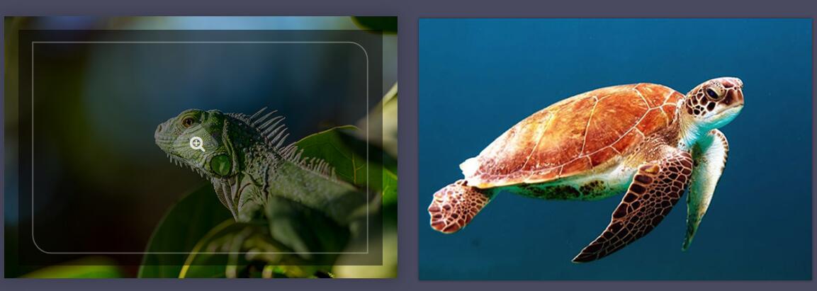 jQuery图片动画遮罩层lightbox特效源码-A8源码网