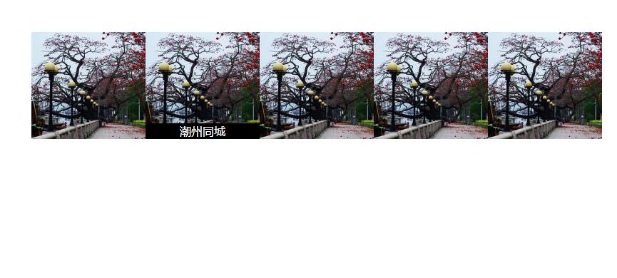 jquery鼠标移到Image上方时显示文字效果源码-A8源码网