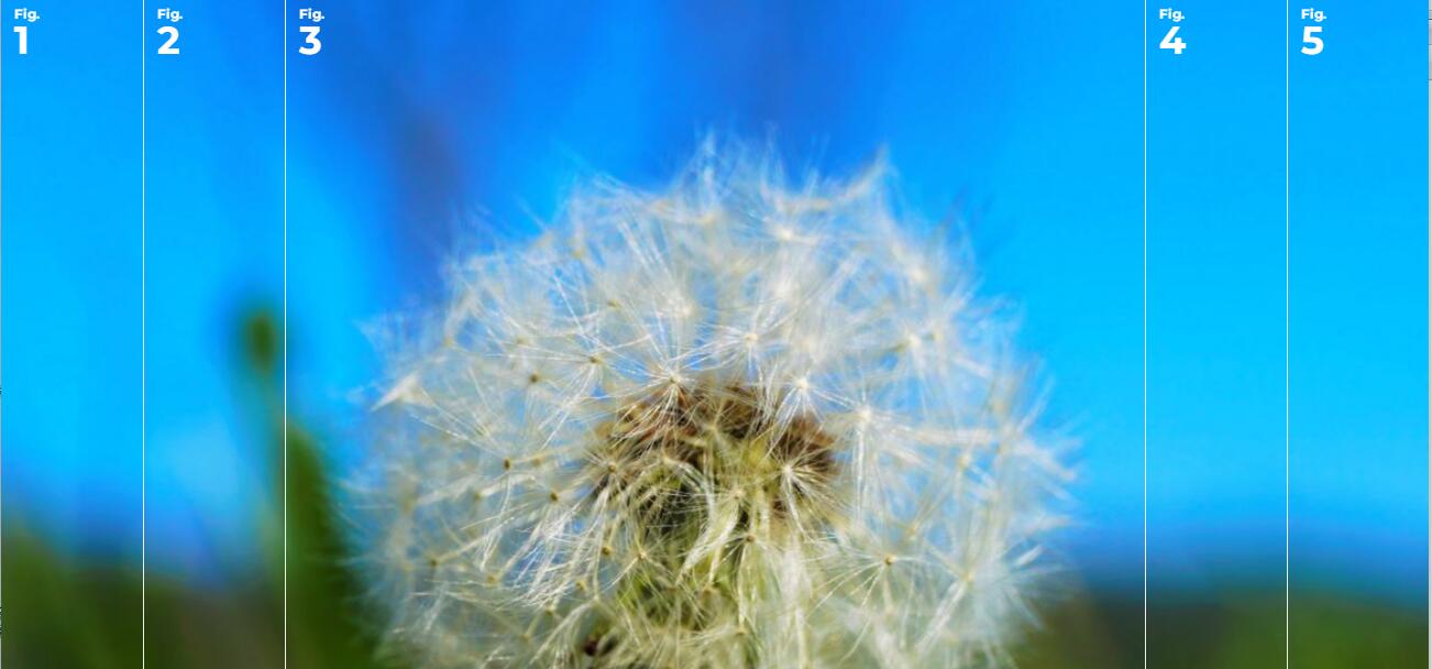 js+html5全屏手风琴幻灯片图片切换展示特效源码-A8源码网