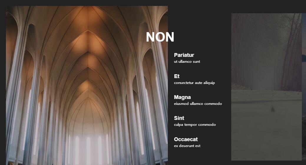 js+React框架创意水平伸缩手风琴图片文字切换特效源码-A8源码网