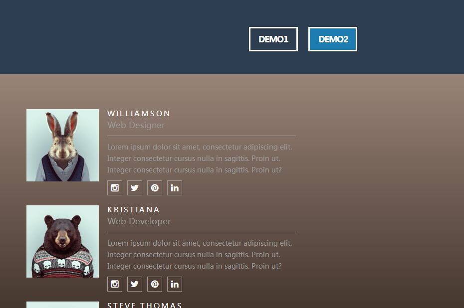 owl-carousel左图右文人物信息展示代码-A8源码网