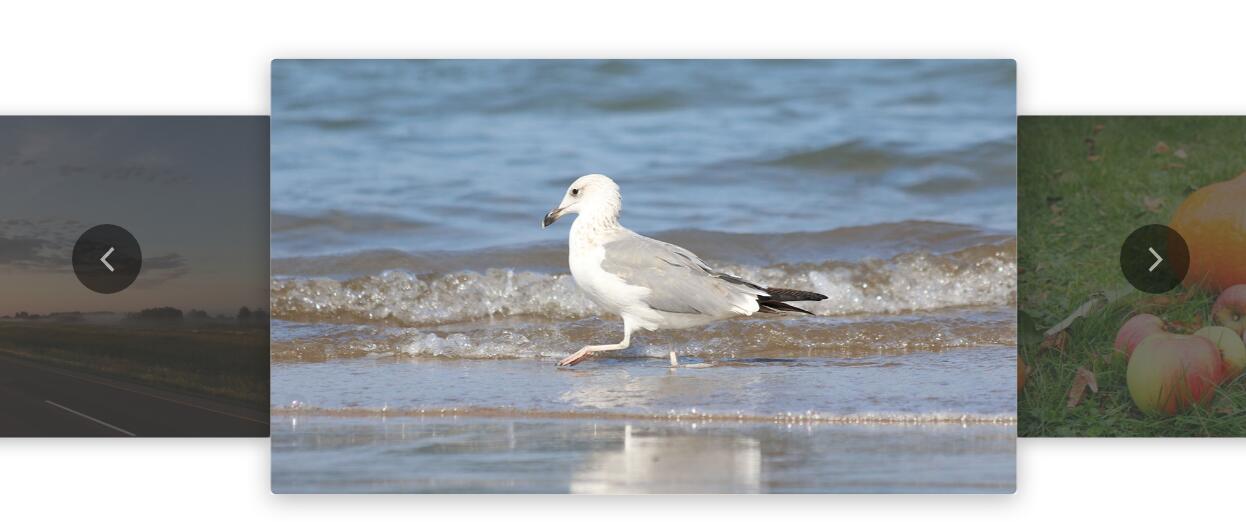 Swiper全屏自适应焦点图轮播代码-A8源码网