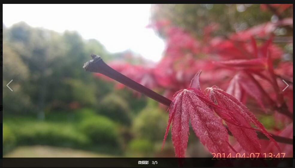 可拖动图片弹出层插件layer.js-A8源码网