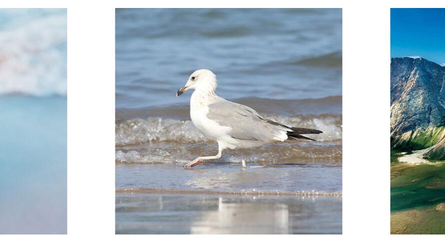 手机移动端H5图片左右滑动切换展示特效源码-A8源码网