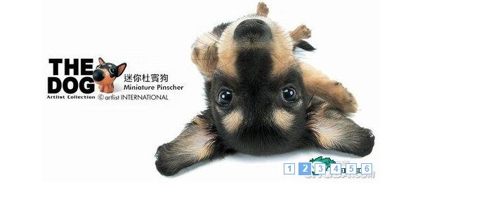 纯JS实现的支持火狐的幻灯片代码-A8源码网