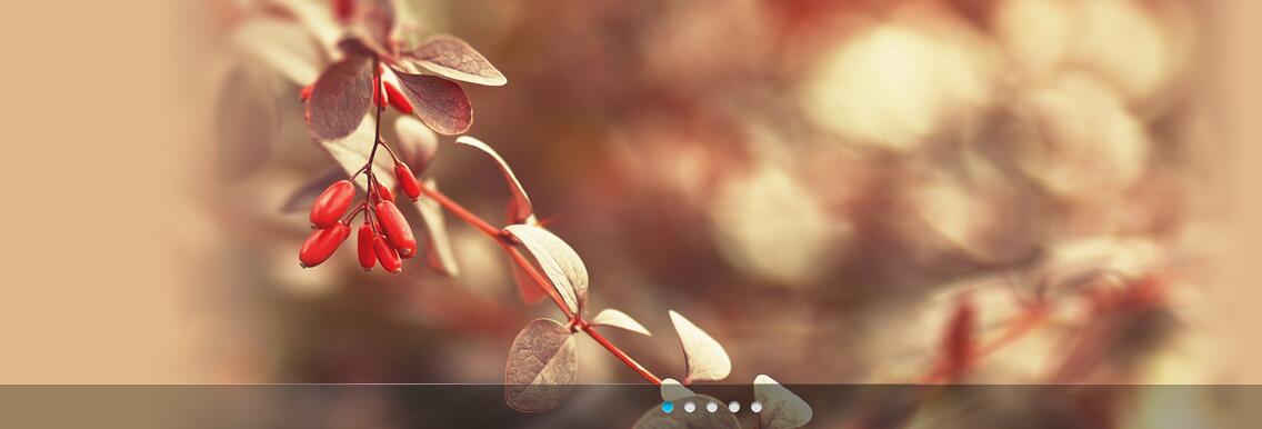 自适应浏览器宽度的通栏banner焦点图-A8源码网