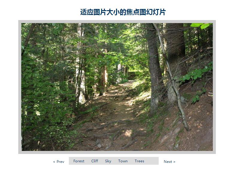 适应图片大小的焦点图幻灯片-A8源码网