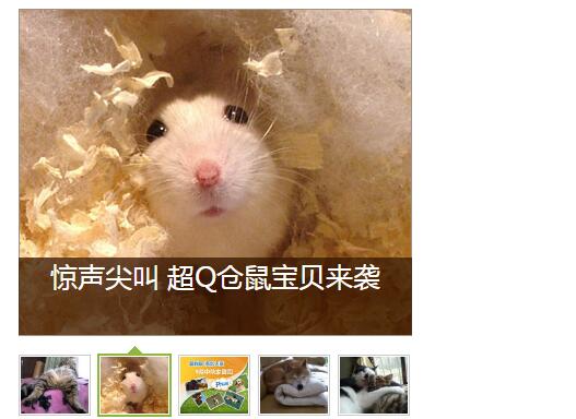 雅虎宠物首页幻灯片设计制作-A8源码网