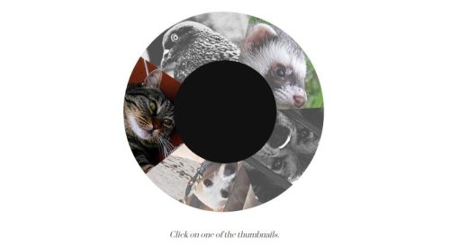 jquery+css3实现图片圆形转动效果代码-A8源码网