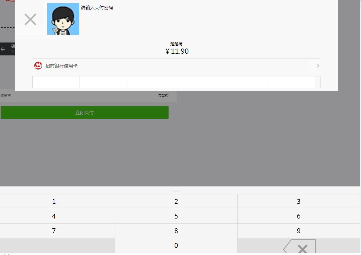 图片[1]-前端模拟微信app支付页面效果代码-A8源码网