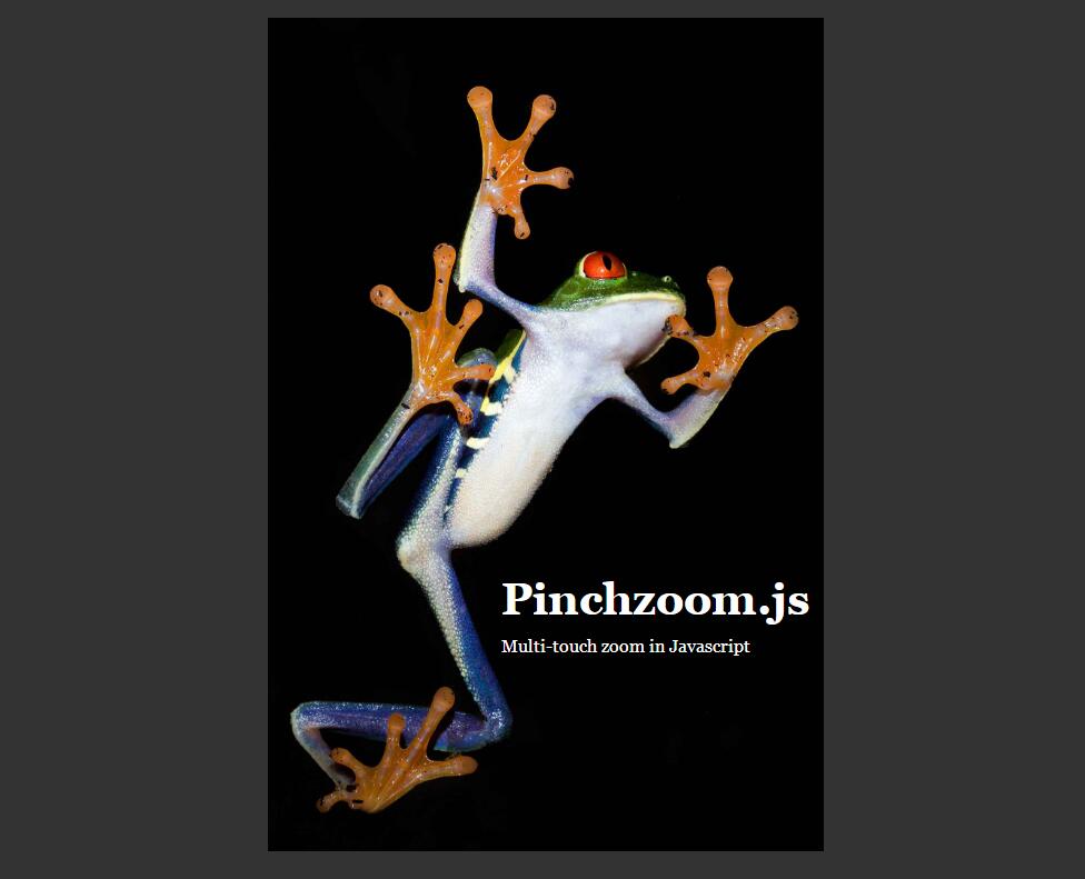 图片[1]-Pinchzoom.js插件实现手指触摸图片放大缩小代码-A8源码网