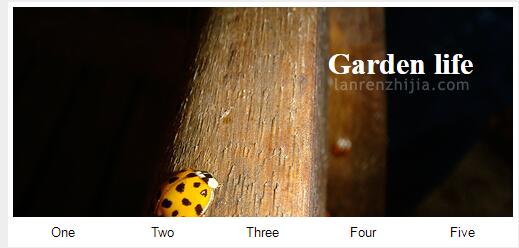 图片[1]-可缩放的选项卡切换形式的焦点图代码-A8源码网