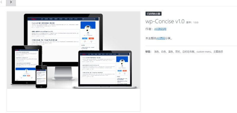 个人博客主题Concise-v1.0源码-WordPress主题模板-A8源码网