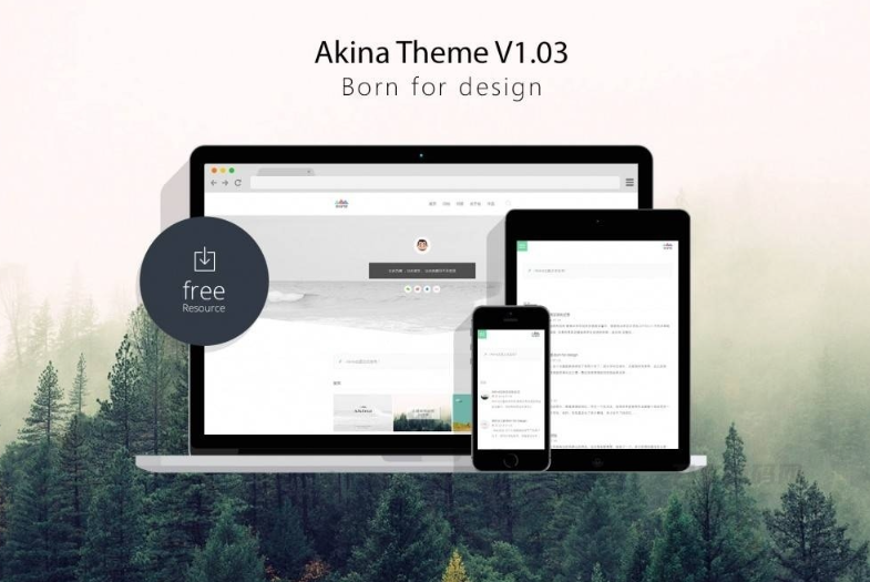 极简主题Akina主题源码-WordPress主题-A8源码网