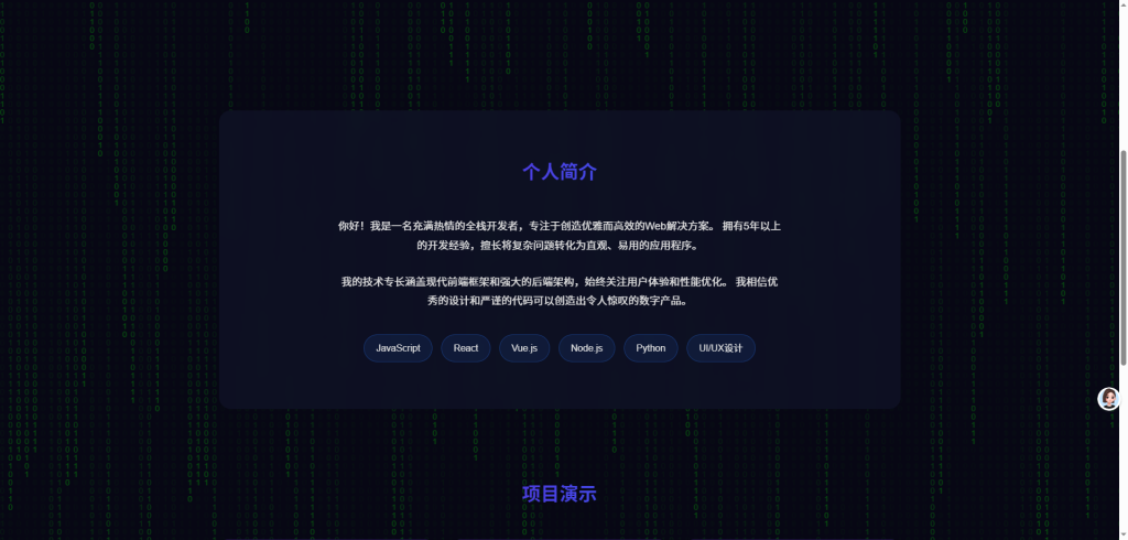 图片[1]-团队个人科技主页HTML源码-适合做落地引导页-A8源码网