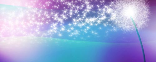 �˵�����