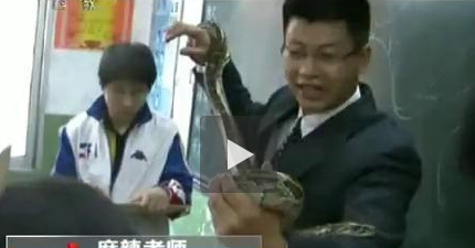 �����������ʦ:���������Ͽ�